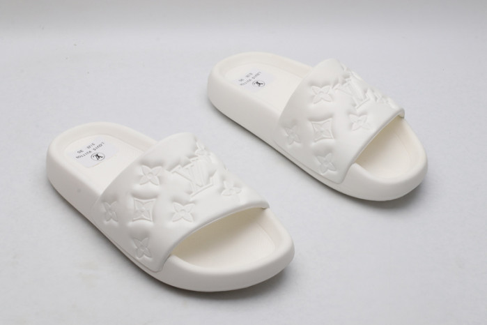 lv slides