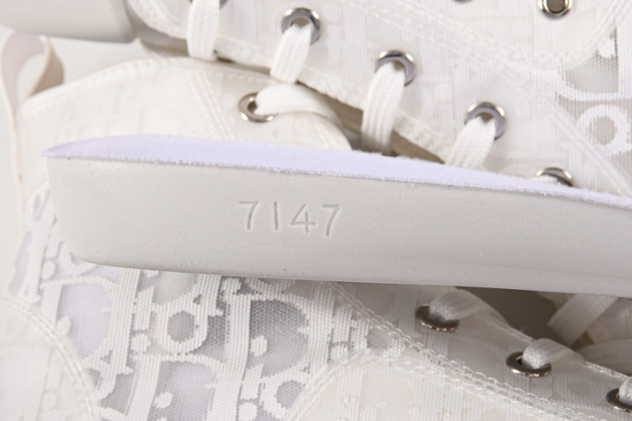 D*or b23 homme kaws low top sneaker